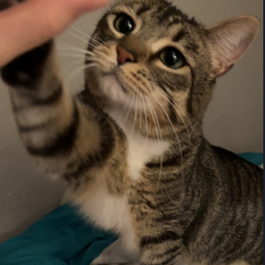 Fundraising Page: Rebecca Matheny